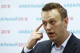 МВД не нашло фактов коррупции в расследовании Навального о Медведеве