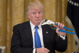 Трамп рассказал о темах разговора с Путиным в Гамбурге