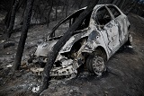 Власти Греции заподозрили, что причиной пожаров вокруг Афин мог стать поджог