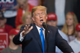 Трамп заявил, что сумел наладить отношения с Путиным