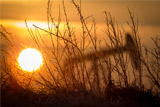 Догнать и обогнать Россию на нефтяном треке - mission possible