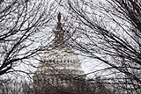 Палата представителей США одобрила законопроекты для завершения "шатдауна"