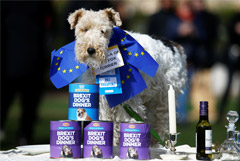 Каждый пятый британец начал запасать продукты и лекарства из-за Brexit
