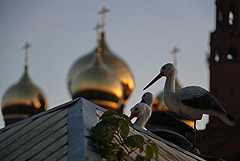 РПЦ приняла в свой состав главу "русского экзархата"